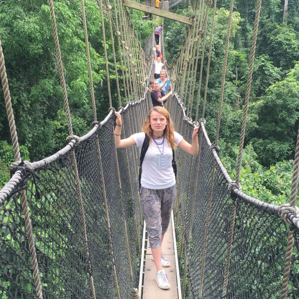 Kakum forest canopy scenery from Andex tour media